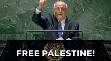 United Nations Palestine GIF by GIPHY News