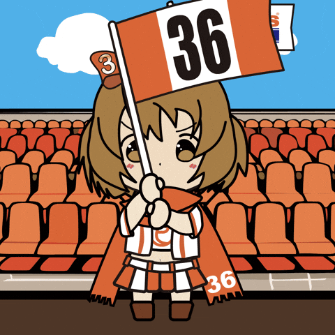 Racing Flag GIF by Entowa's