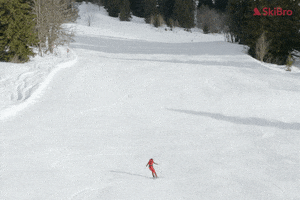 SkiBro GIF