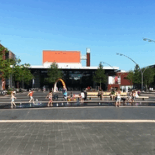 Groenlinks Dronten GIF