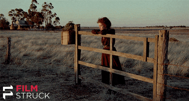 lonely sam neill GIF by FilmStruck
