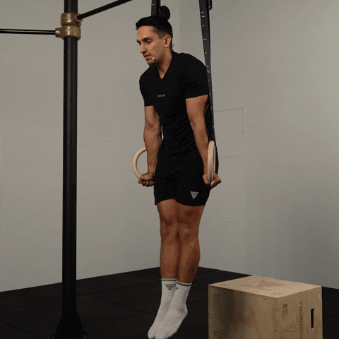 Calisthenics Exercises GIF