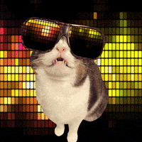 Disco Groove Gifs Get The Best Gif On Giphy Disco Groove Gifs Get The Best Gif On Giphy