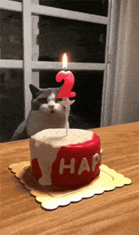 Joyeux Anniversaire Gifs Get The Best Gif On Giphy