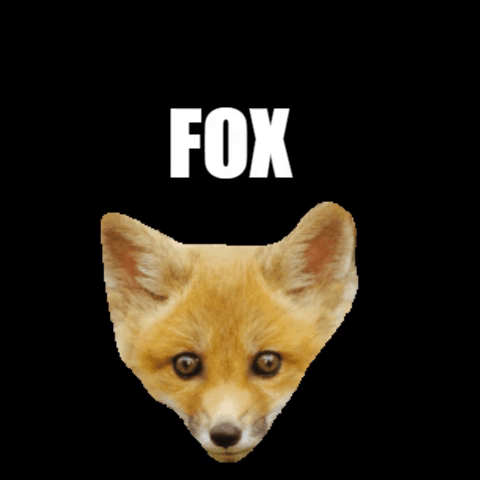 Fox Valley Technical College Fvtc GIF