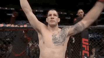 Marc Andre Barriault GIF by UFC