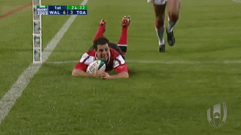 Rugby Wales Gifs Get The Best Gif On Giphy