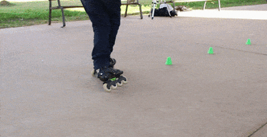 Freestyle Slalom GIF