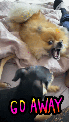 Angry Go Away GIF by Jess
