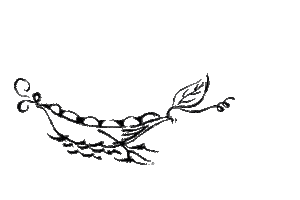 Boat Sticker by Shortbread House of Edinburgh