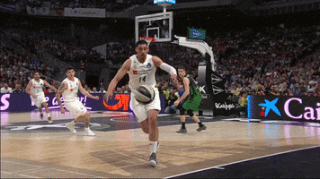 save real madrid GIF by ACB