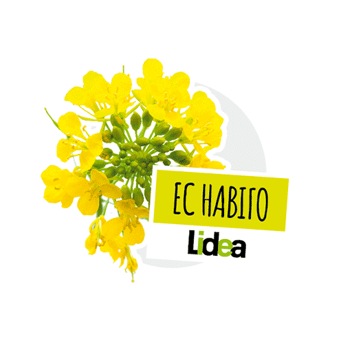 Lidea Seeds Sticker