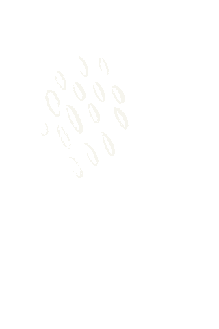 Design Illustration Sticker