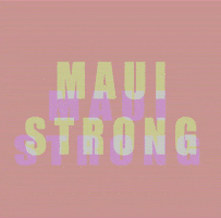 kklmaui GIF