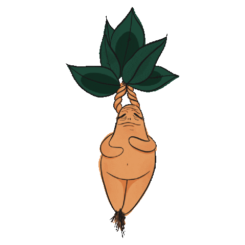 Harry Potter Halloween Sticker by House Of Wonderland