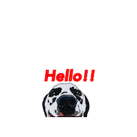 Dog Hello Sticker
