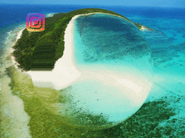 200.gif?cid=fc005b08003c9c9fcc7ffdd53aa1db9e12eff6fed260636b&rid=200.gif&ct=g