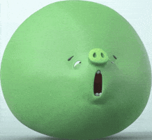 Pig GIF