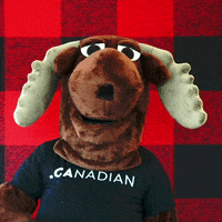 Canadian Love GIF by choose.ca