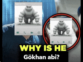 Gökhan Abi GIF