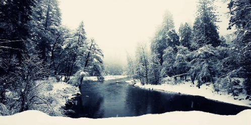 Image result for gif snow landscapes
gif