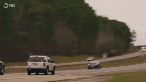 Sweet Home Alabama gifs - Find & Share on GIPHY