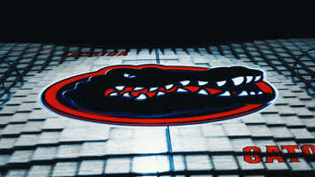 Happy Excited GIF by Florida Gators
