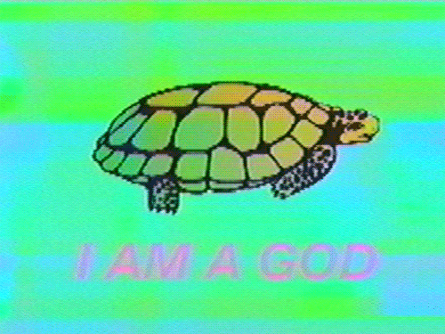 I Am A God Turtle GIF by MOODMAN - Find & Share on GIPHY