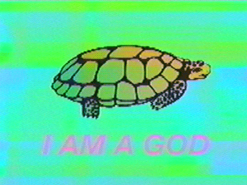 I Am A God Turtle GIF by MOODMAN - Find & Share on GIPHY I Am A God Turtle GIF by MOODMAN - Find & Share on GIPHY