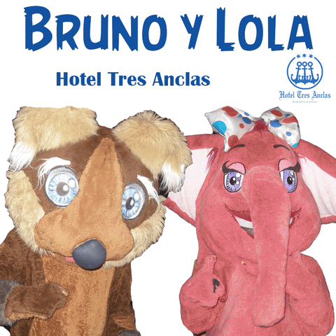 Gandia Bruno Y Lola GIF by Hotel Tres Anclas