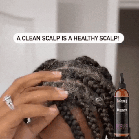 Shampoo Afro GIF by Curldacity Haircare