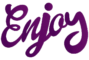 Salvador Maceio Sticker by Festa Genesis