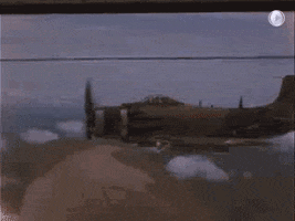 Plane Goodbye GIF by US National Archives