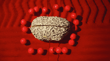 eye brain GIF by Carl Knickerbocker