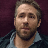 GIF by The Hitman's Wife's Bodyguard
