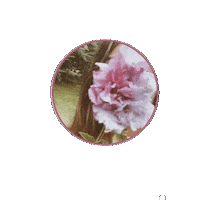 Love Sticker