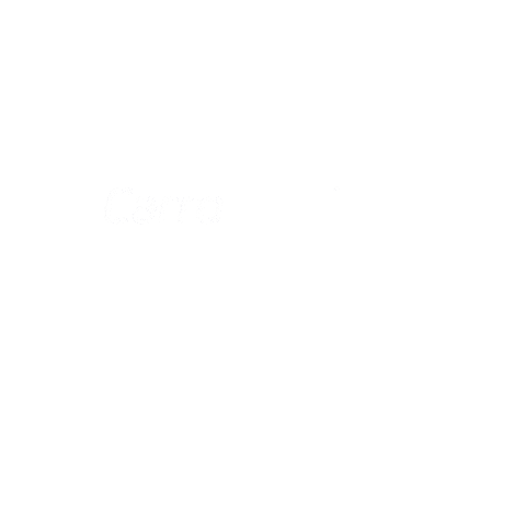 Veiculos Seminovo Sticker by Bruno Veículos