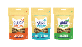 Treat Planet Sticker