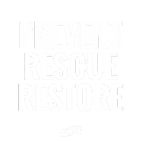 ZOE International Sticker