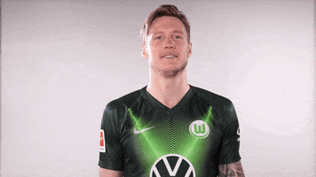 Wout Weghorst Soccer GIF by VfL Wolfsburg