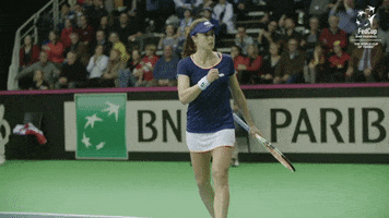 France Celebration GIF by Fed Cup by BNP Paribas