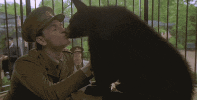 CanFilmDay love kisses canadian canfilmday GIF