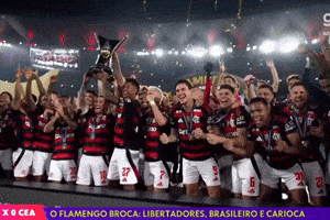 Flamengo Edite GIF