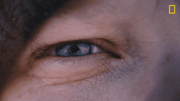 Nat Geo Eyes GIF by National Geographic Channel