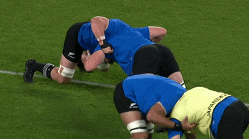 Scrum Wrestle GIF by Rugby World Cup