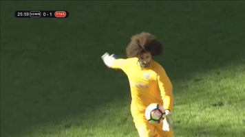 alezodendaal  GIF