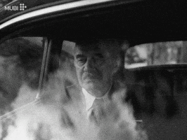 Black And White Cinema GIF by MUBI