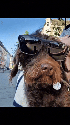 GIF by bembelliebe.de