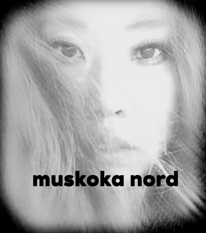GIF by Muskoka Nord