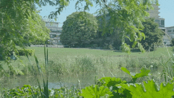 Lake Campus GIF by The University of Bath